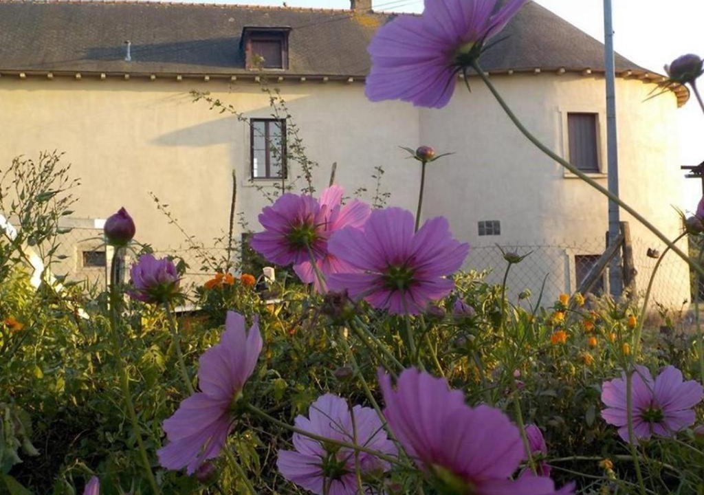Chavagne Apartment | Manoir de la Guignardiere - Charme et Douceur