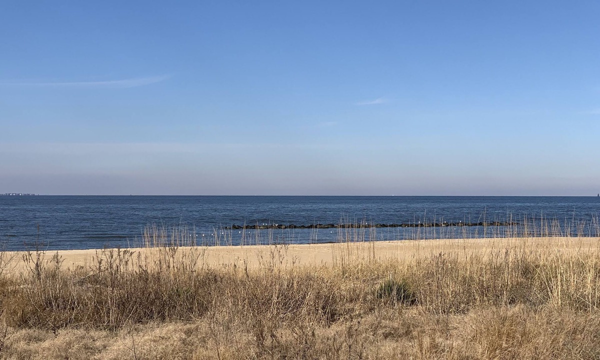 Willoughby Spit Cottage | Manor and Mutts #2 - Beach Front, Pet Friendly, Wi-Fi, Parking, W/D, King Bed