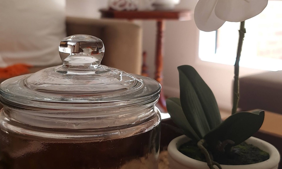 Mansfield House | Mansfield House with Solar Heated Pool - Pet & Disable Friendly