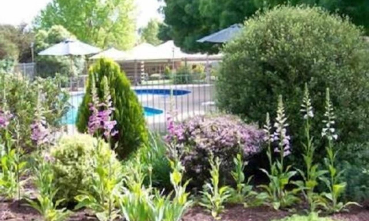 Mansfield Hotel | Mansfield Valley Motor Inn