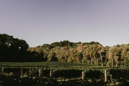 Shoreham Hotel | Mantons Creek Estate