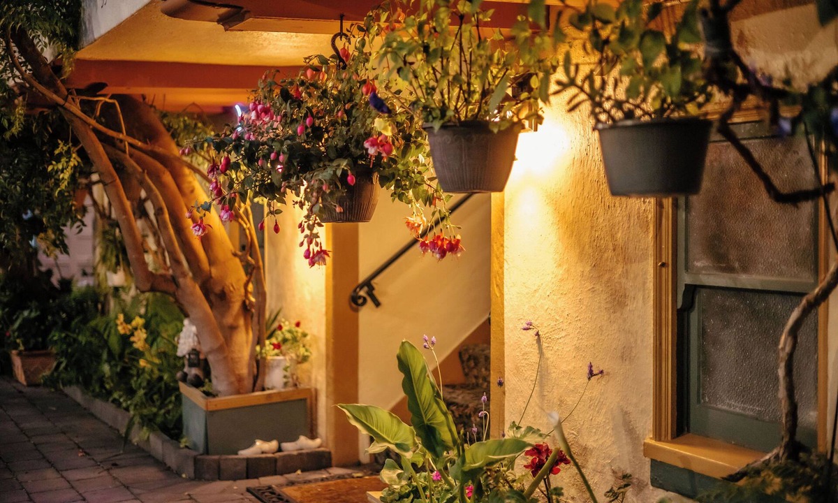 Marina District Hotel | Marina Motel