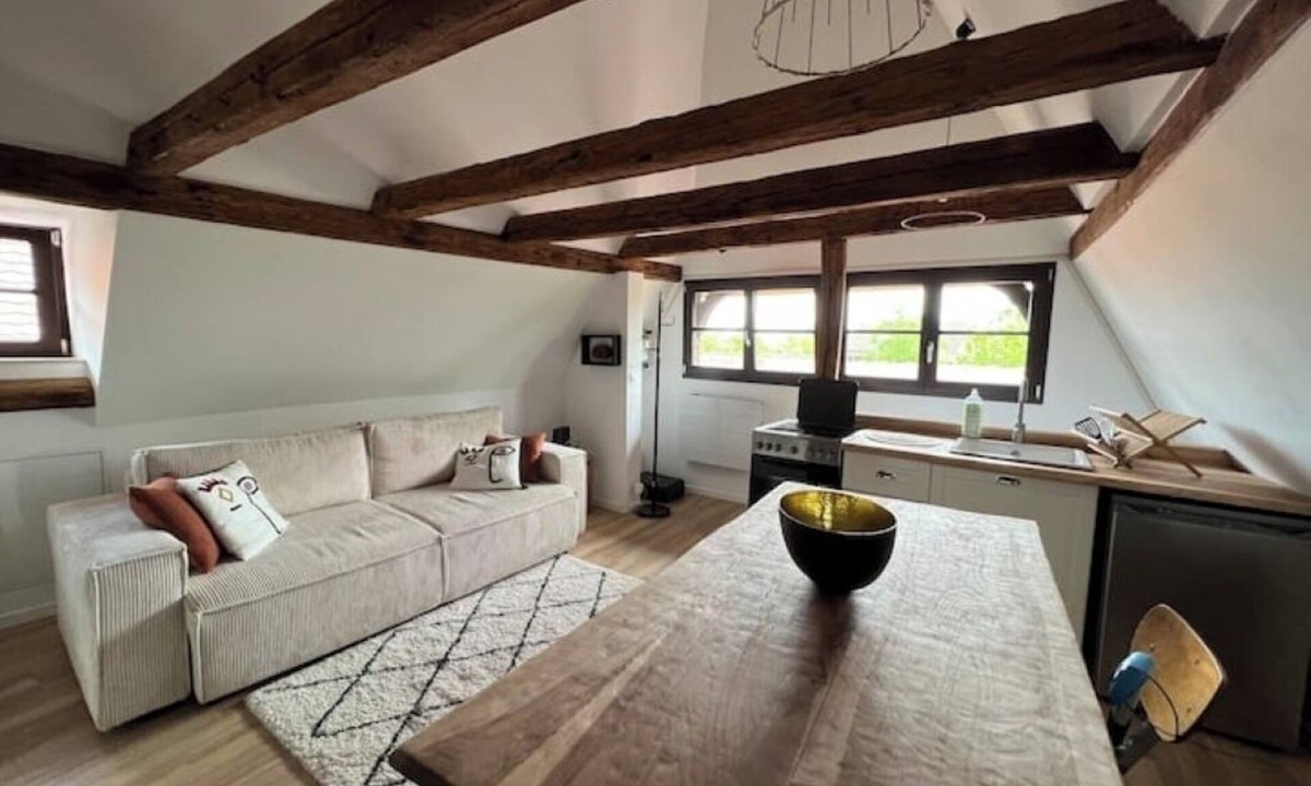 Selestat Apartment | Marine & Comble