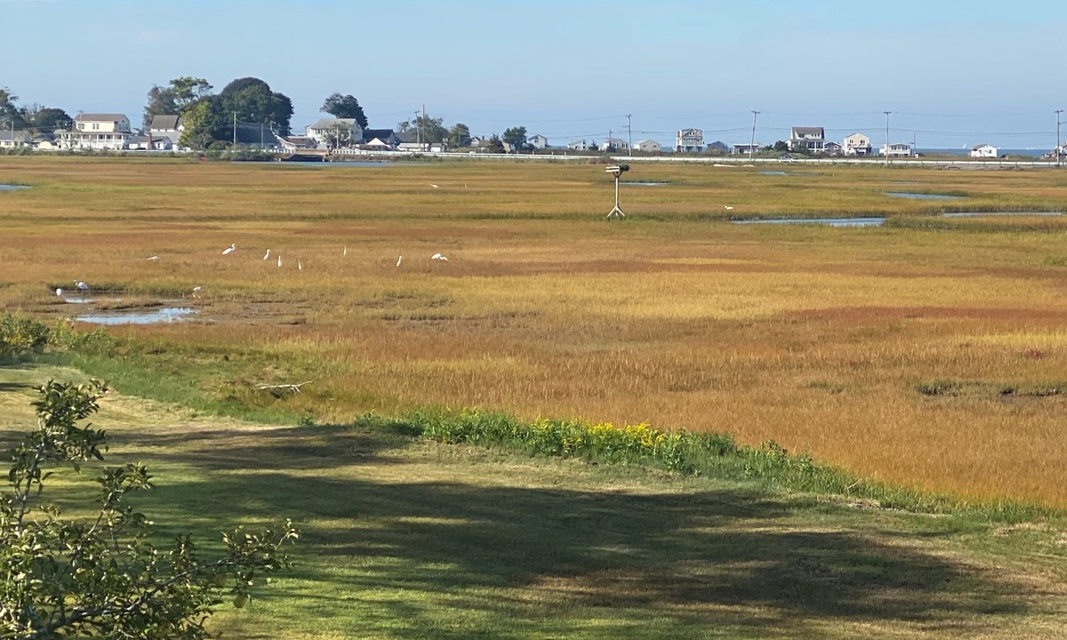 Old Saybrook House | Marsh View Home!