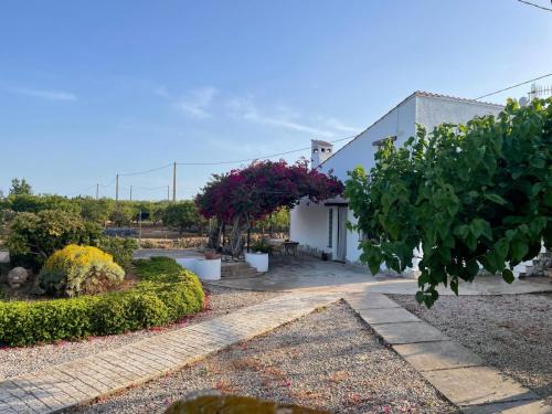 Sant Carles de la Rapita House | Masía Mas Salut