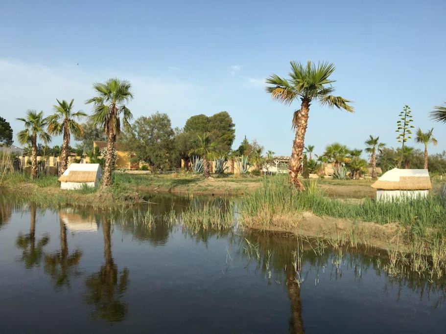 Saint-Laurent-d'Aigouze House | Mas de l isle sauvage aigues mortes