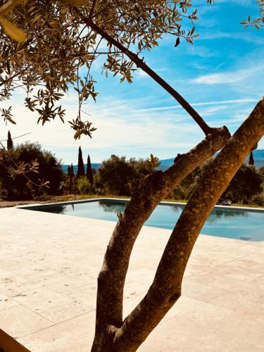 Saint-Saturnin-les-Apt Villa | Mas de la canopée-Luberon