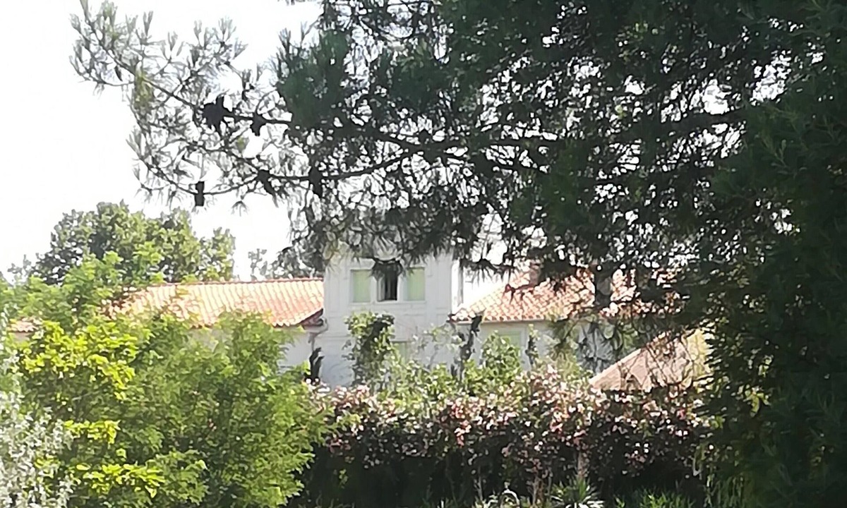 Sainte-Marie-la-Mer House | Mas des Marbres Sauvages propriété 36 personnes