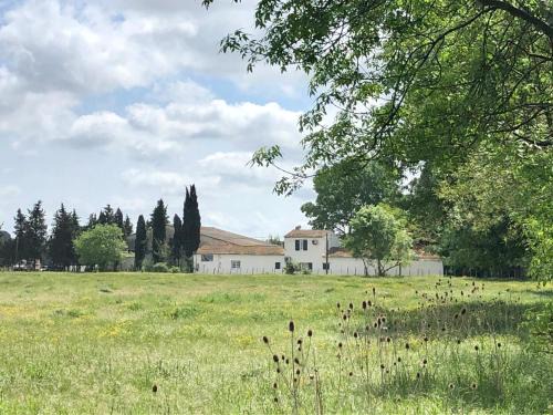 Le Cailar House | Mas Du Pont De Laute