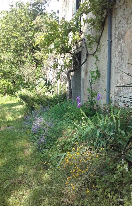 Saint-Laurent-le-Minier Villa | Mas Ferrieres Saint Laurent