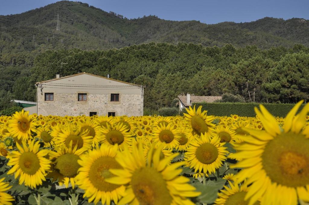 Sant Gregori House | Mas Font