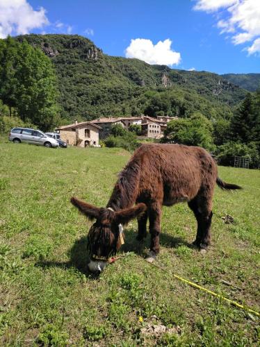 Beget Ski Chalet | Mas La Cabanya Beget Xalet de muntanya