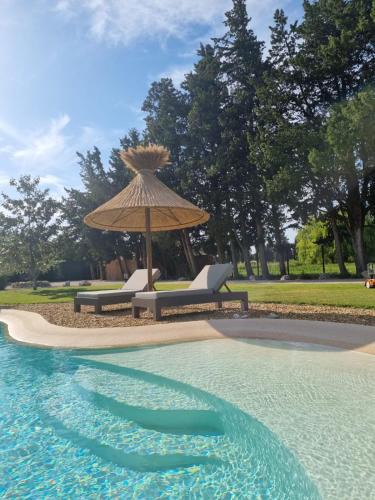 Rognonas Bed & Breakfast | Mas Paloma