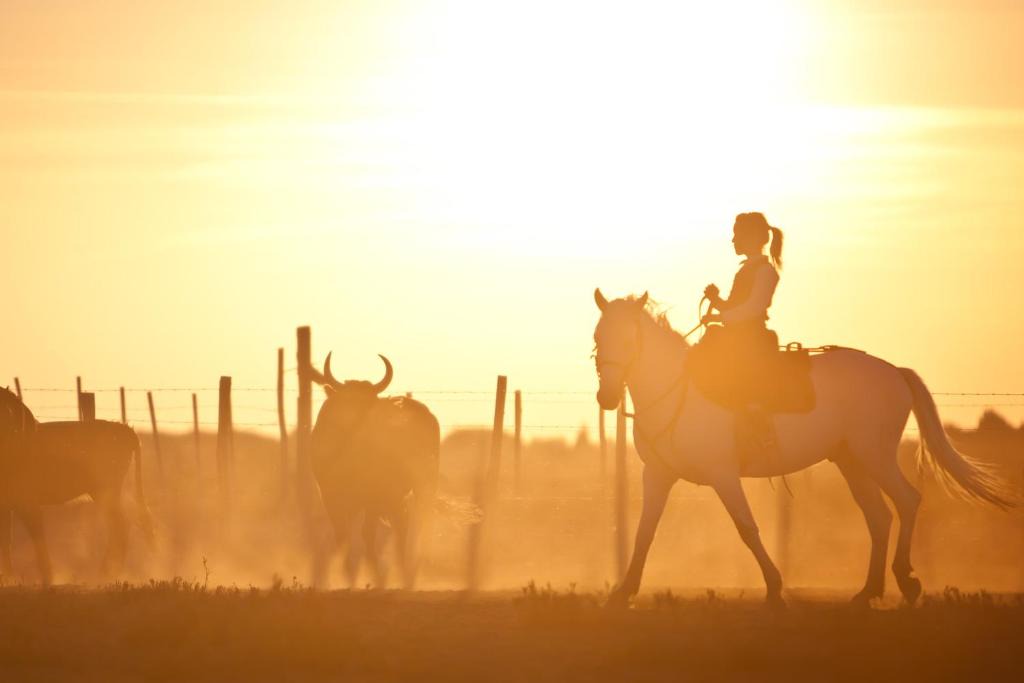 Le Cailar House | Mas Pasquier