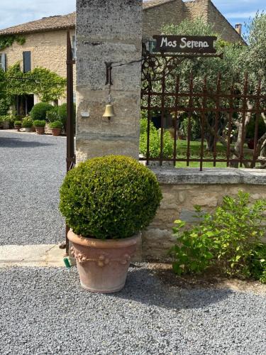 Menerbes House | Mas Serena