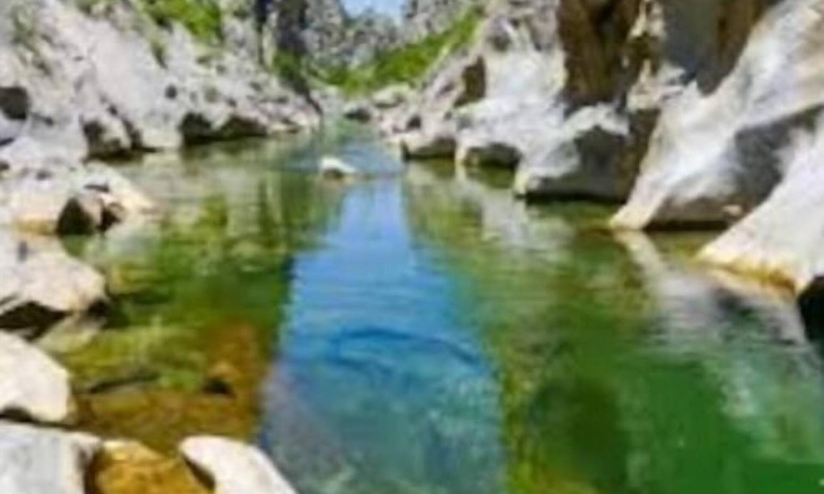 Tautavel Other | Mas Viticola Catalan