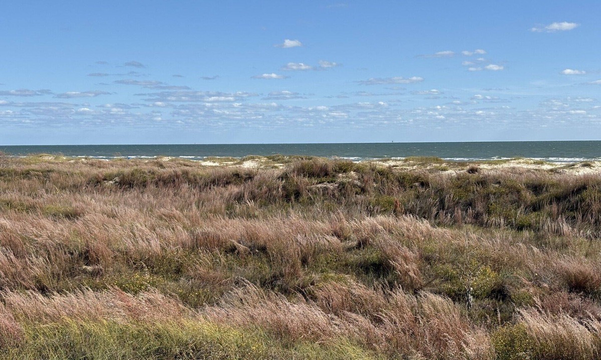Matagorda House | Matagorda Beach Front Home - With Front- Row Beach View