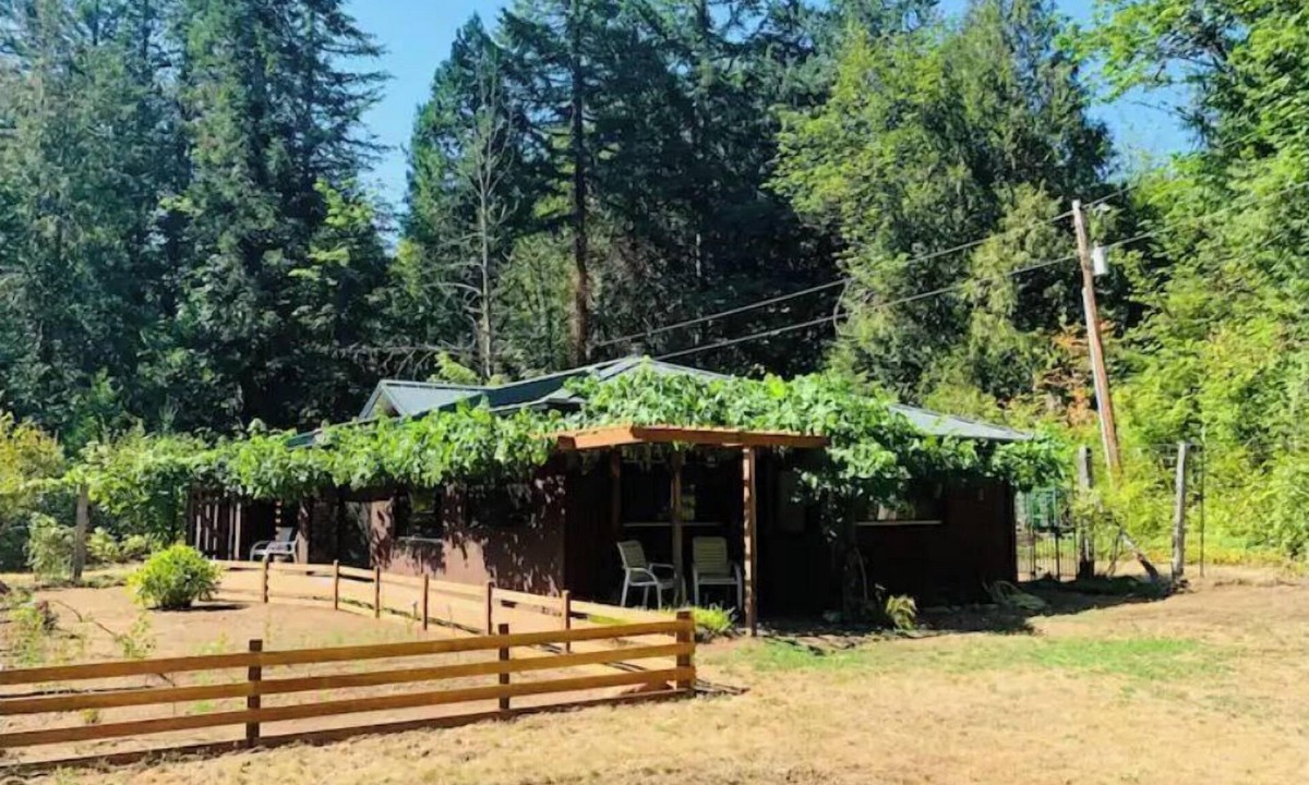 Blue River House | McKenzie Grapevine Hideaway—private mini villa