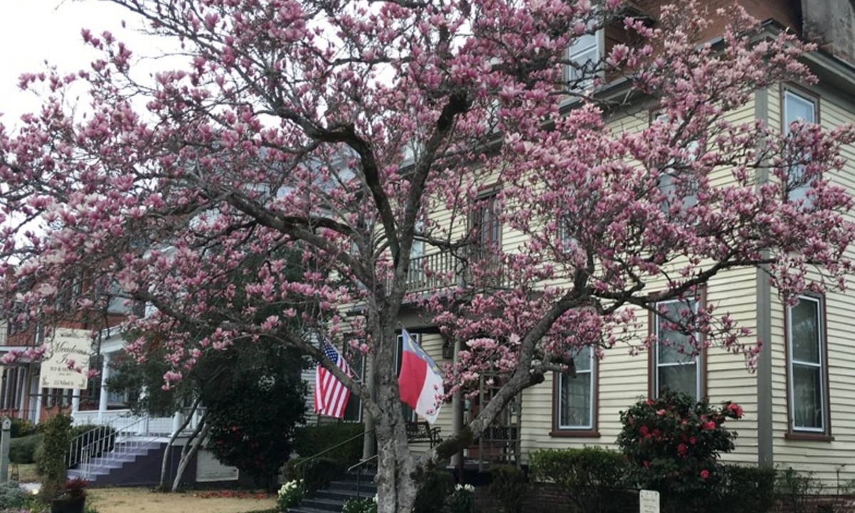 New Bern Bed & Breakfast | Meadows Inn Bed & Breakfast