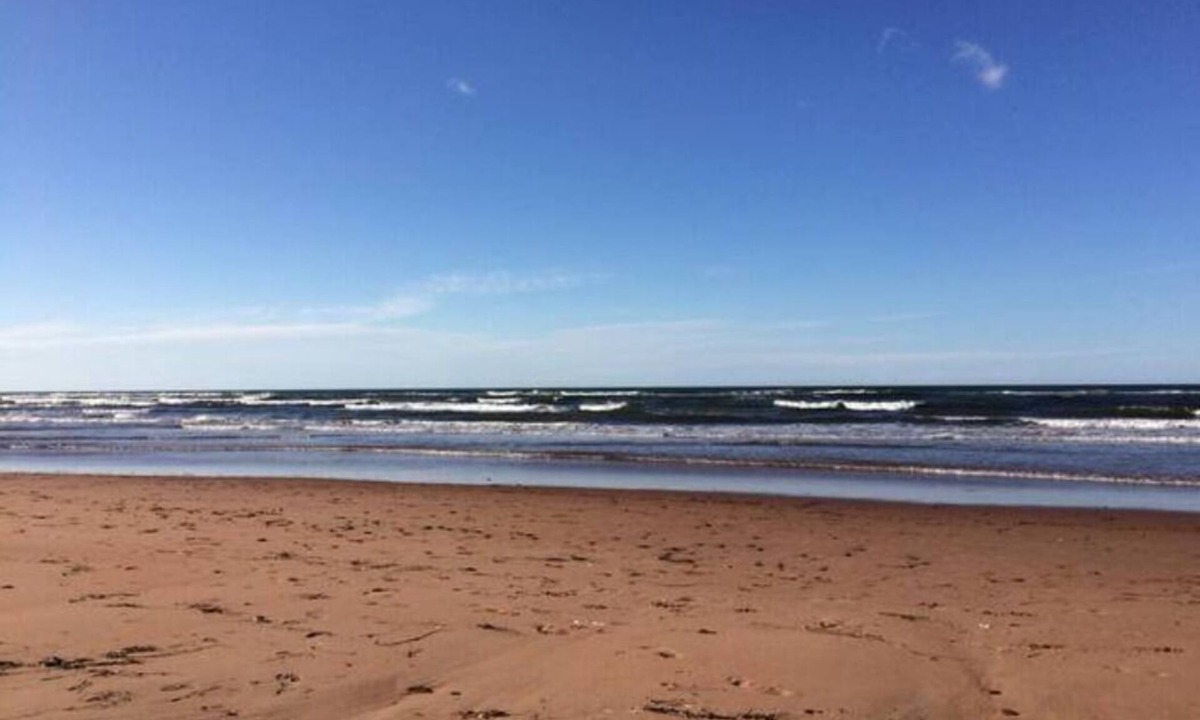 Savage Harbour Cottage | Mel's Place - Minutes walk to the beach