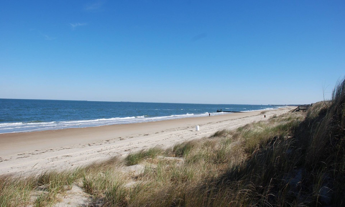 Norfolk House | Mermaids & Mutts (3-Bedroom Bungalow) - Pets Allowed by RedAwning