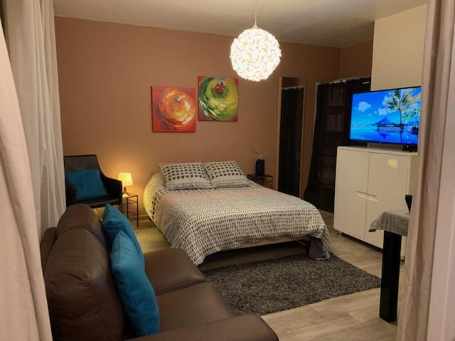 Aix-les-Bains City Center Apartment | Meublé Du Soleil