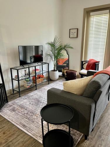 Dallas Apartment | Mi Casa es su Casa