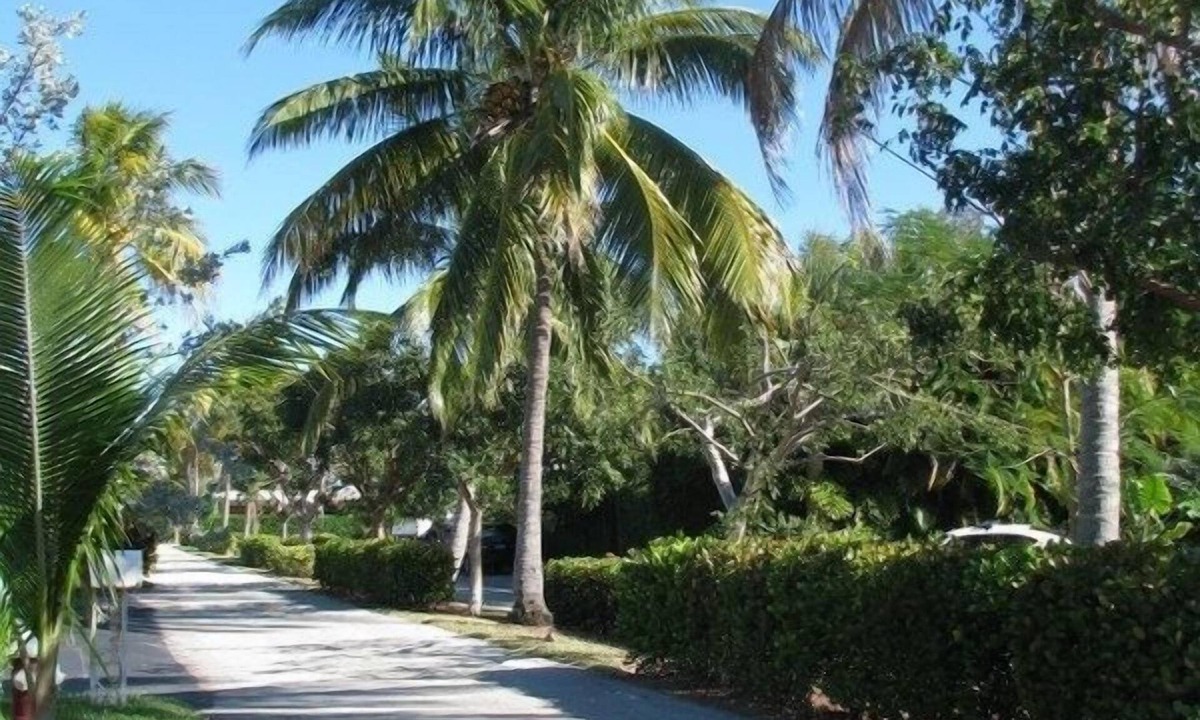Santa Barbara Estates House | Miami World Cup 4 BR 2 BA 7mins Walk to Beach, Hot Tub, Restr, Bars, Golfing!