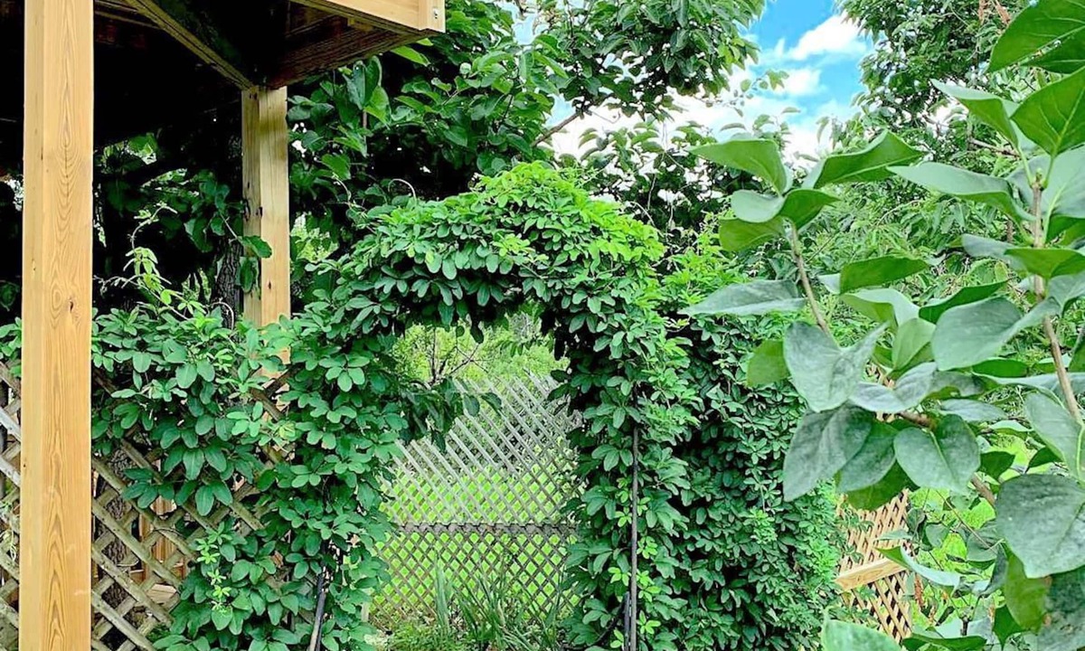 Hudson Apartment | Micosta Leisure Inn