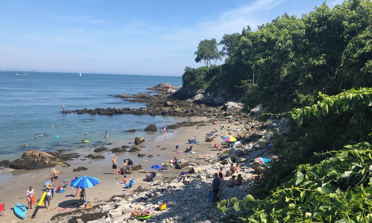 Willard House | Mid Century Modern Beach Bungalow