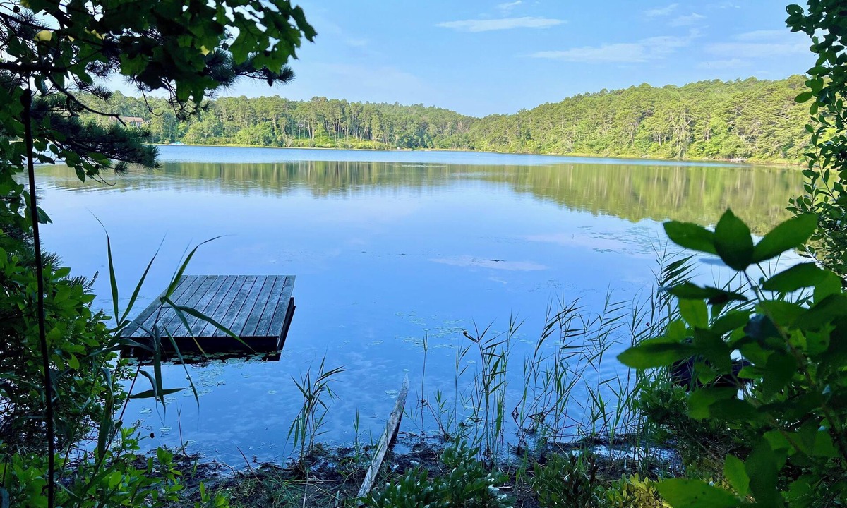 Truro House | Mid-Century Modern Truro on Great Pond (1914)