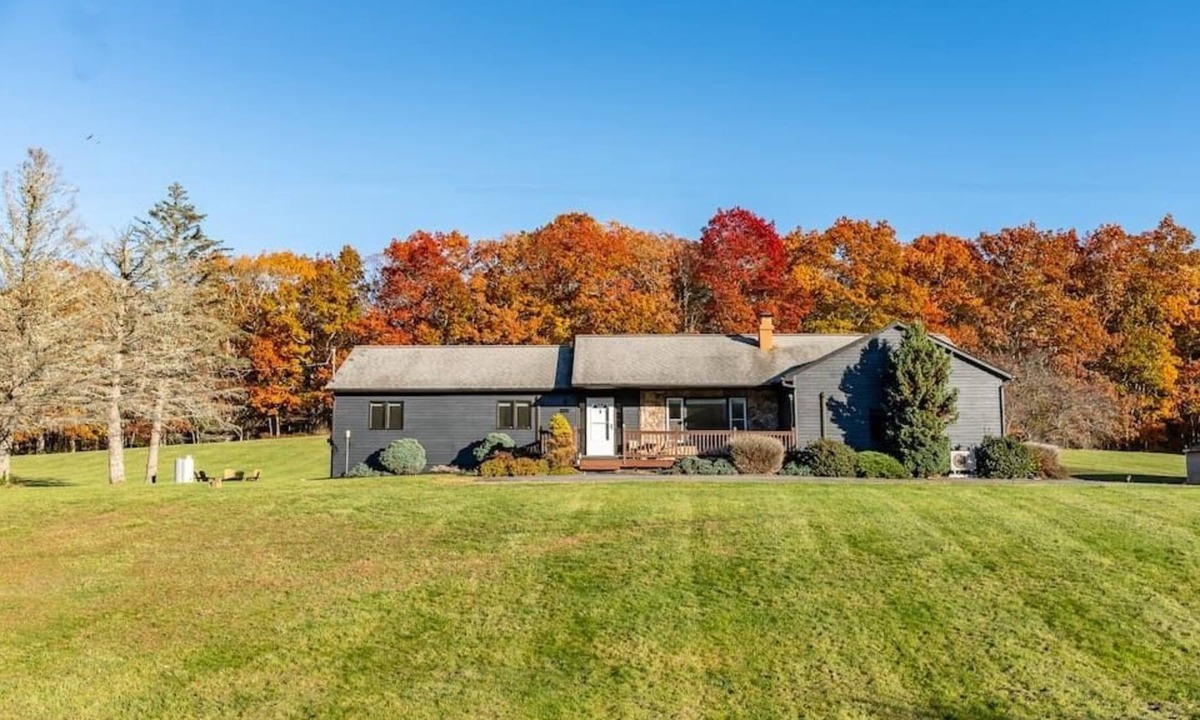 Callicoon Cabin | Midnight Meadow - Bright & Airy Cabin in Callicoon