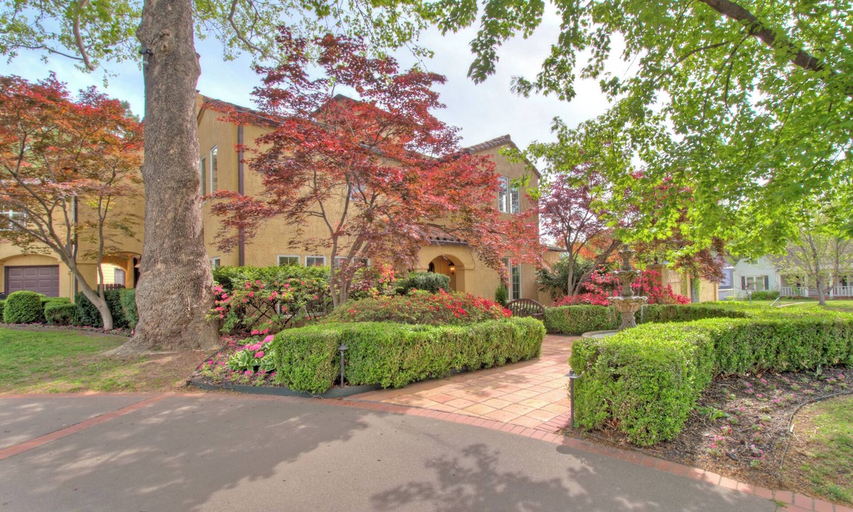 Maple Ridge House | Midtown Mediterranean Oasis