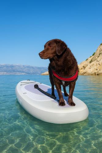 Bosana Apartment | Mila's pet friendly holiday house with private beach place and sunbeds included
