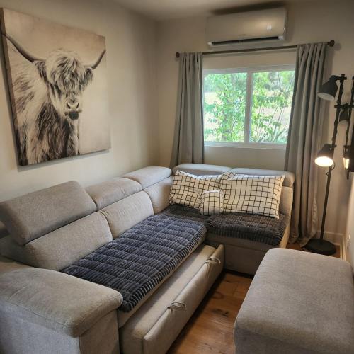 Spring Branch House | Miller Lodge