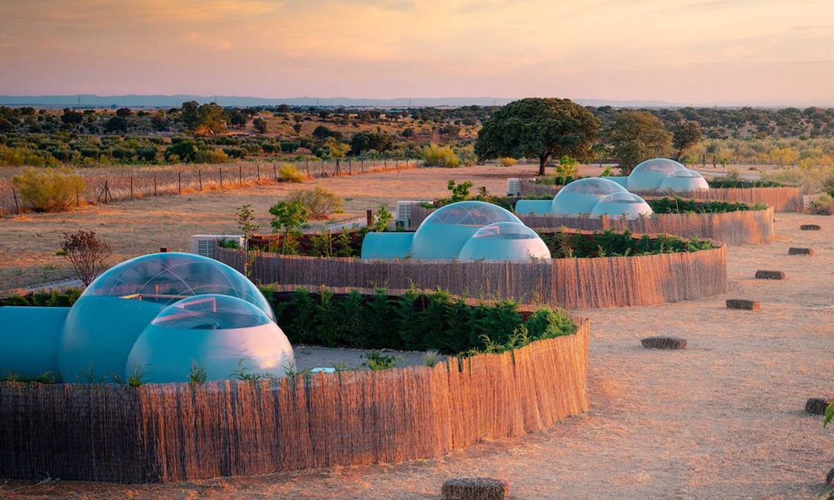 Hormigos Hotel | Miluna