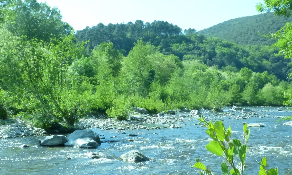 Thoiras Cottage | Mimosa on a hillside, gite 4/6 pers, 2 suites