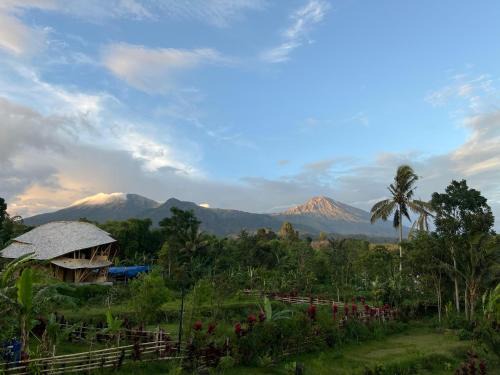 Tetebatu Villa | Mimpi Manis Villas