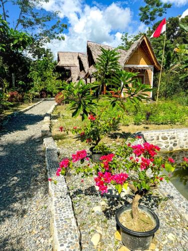 Bohorok Cabin | Mimpi of Orangutan Adventure, TREK ONLY BOOK WITH US