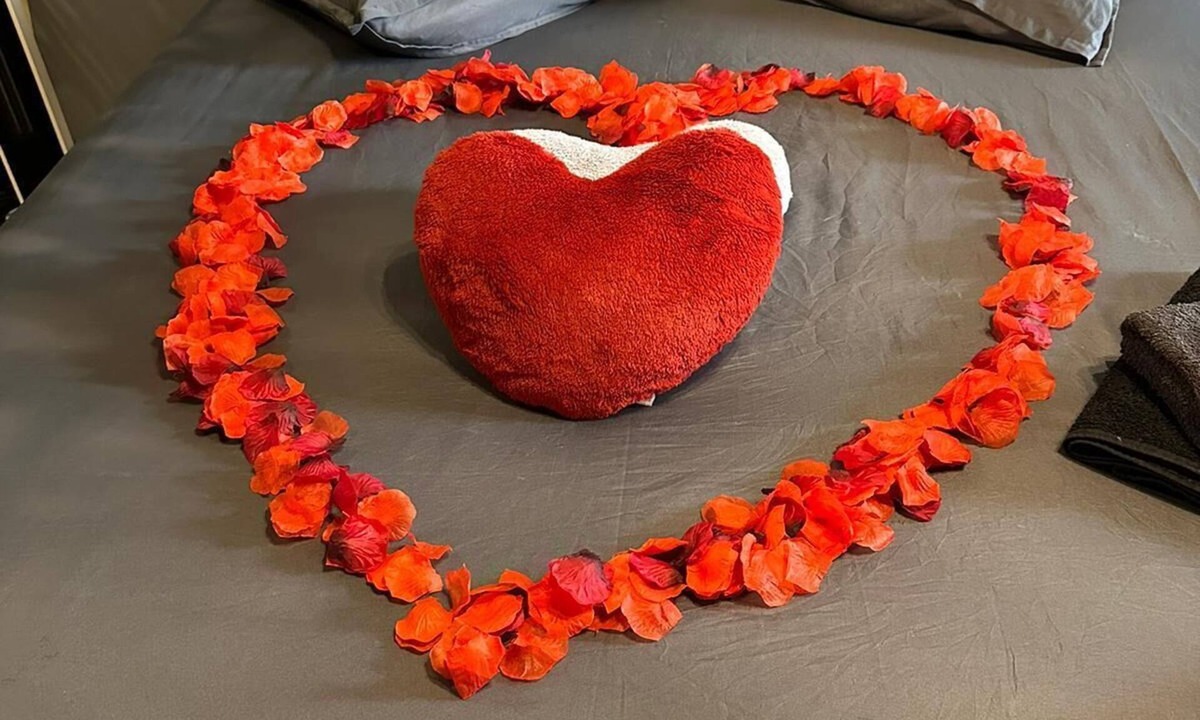 Tournon-sur-Rhone Apartment | Miniloveroom & spa