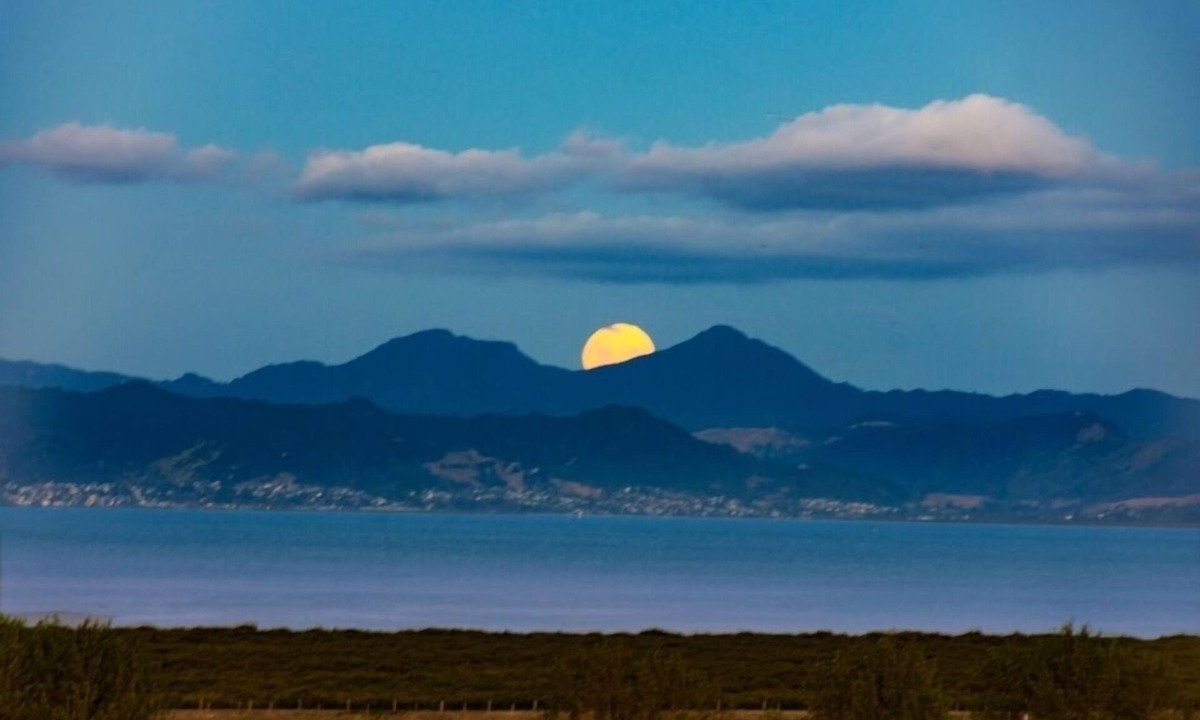 Miranda Apartment | Miranda Sea View Apartment