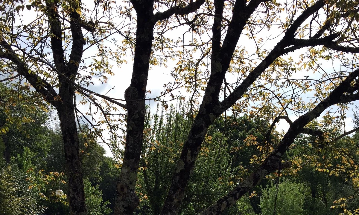 Theix-Noyalo House | Miro Room