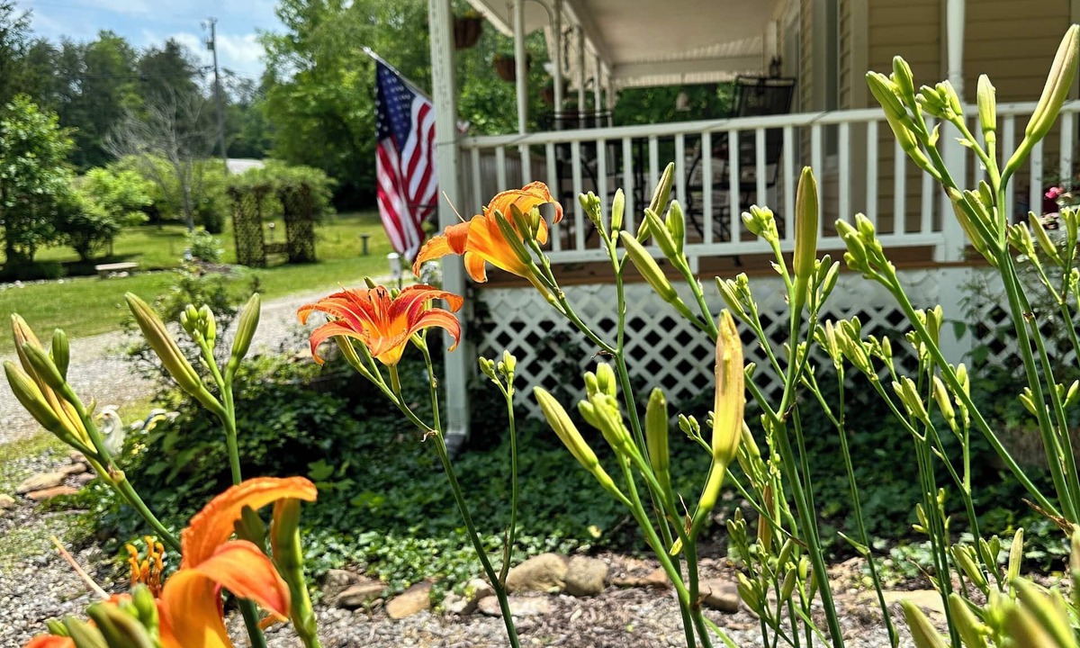 Blairsville Bed & Breakfast | Misty Mountain Inn