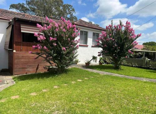 Macquarie Fields Bed & Breakfast | MJED House