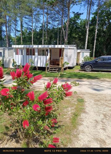Piriac-sur-Mer Other | Mobil home 6 personnes Mer et Pins
