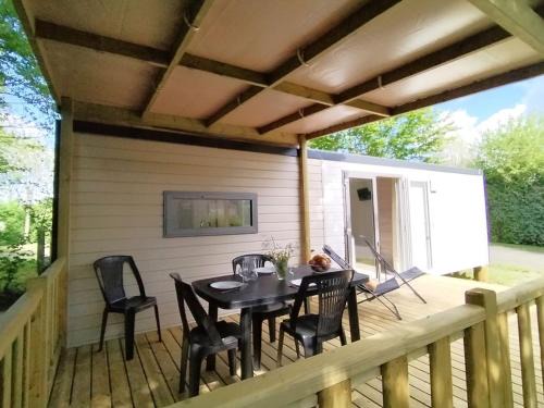Chaille-les-Marais Other | Mobil home avec animaux - 4 pers. - API-1-52-2245
