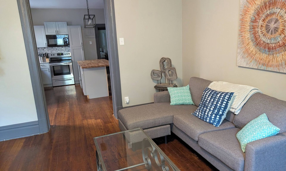 St. Louis Condo | Modern 1BR Apt Near Hospitals & Tower Grove—Perfect for Med Stays
