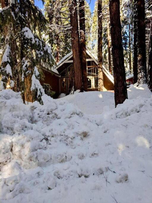 Placerville House | Modern Cabin Get Away - close to APPLE HILL