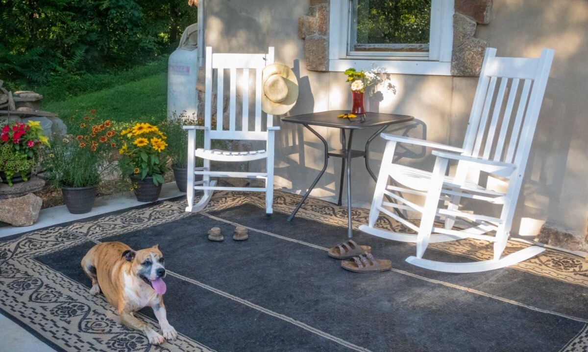 Clifford Apartment | Modern , farmhouse basement, suite, queen bed, efficiency , dogs welcome.