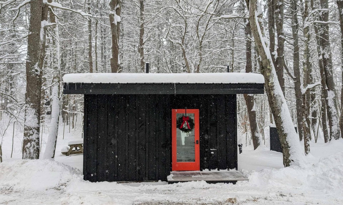 Freeport Cabin | Modern, Luxurious Cabin in the Woods - 01